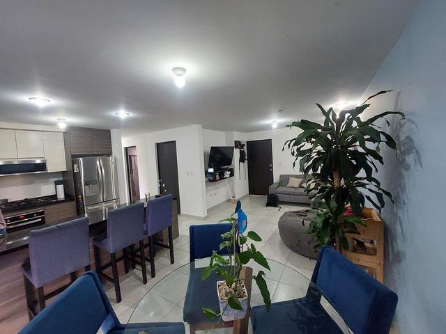 Foto de la galeria de imagenes