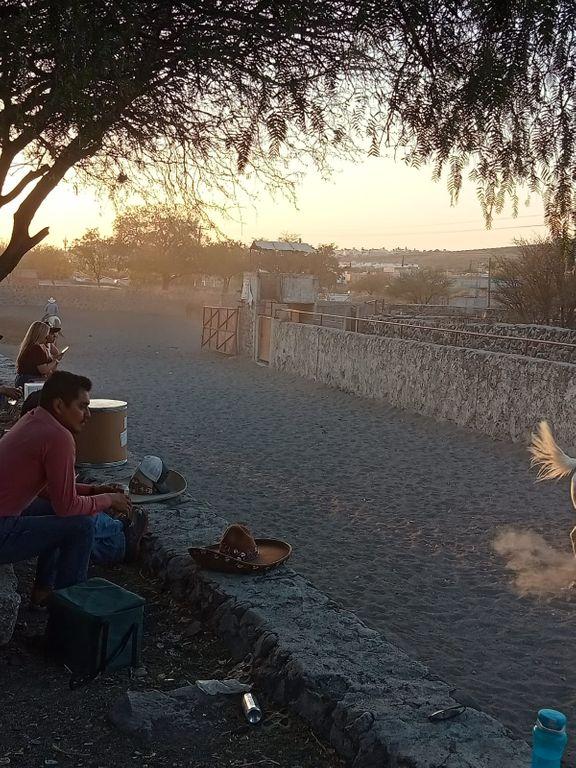 Foto de la galeria de imagenes